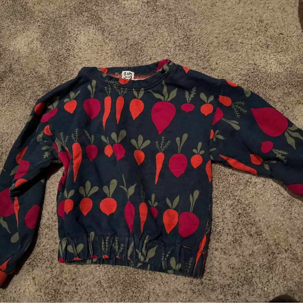 Kids Colorful Vegetable Print Sweatshirt